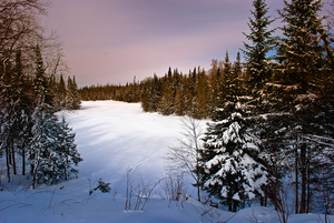 The Tug Hill Plateau will be the site of the project that aims to increase ecological resistance to climate change.