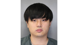 Dancheng Wang committed the animal abuse during a fight with his ex-girlfriend in October 2017, prosecutors said.