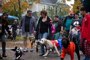 The second annual Halloween Dog Parade hit the streets of Westcott, parading their pups in stylish costumes. The parade was put on by the Westcott Neighborhood Association and was celebrated with a Syracuse-based band, Second Line Syracuse. 
